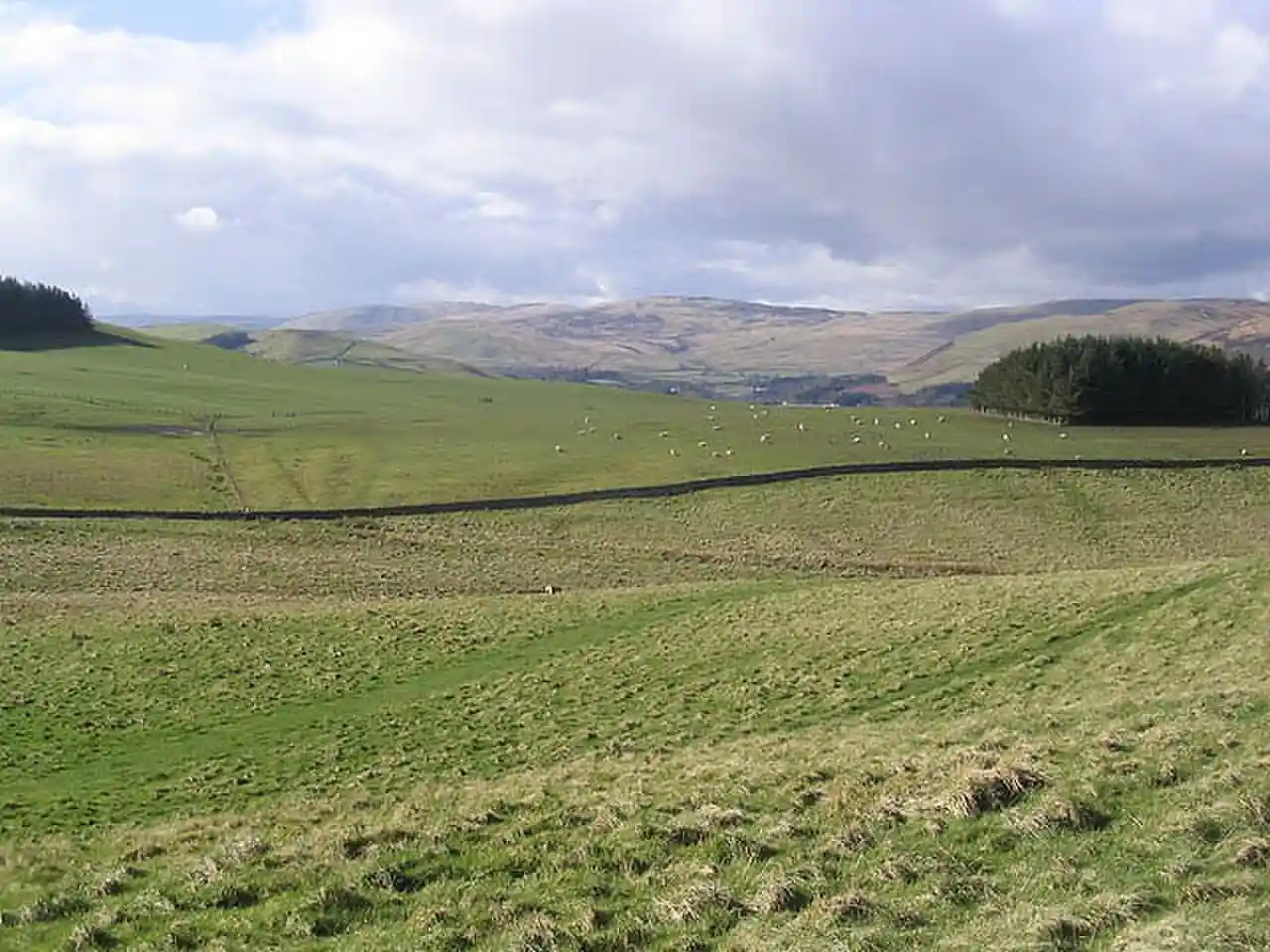 Oakwood Roman Fort and Camp