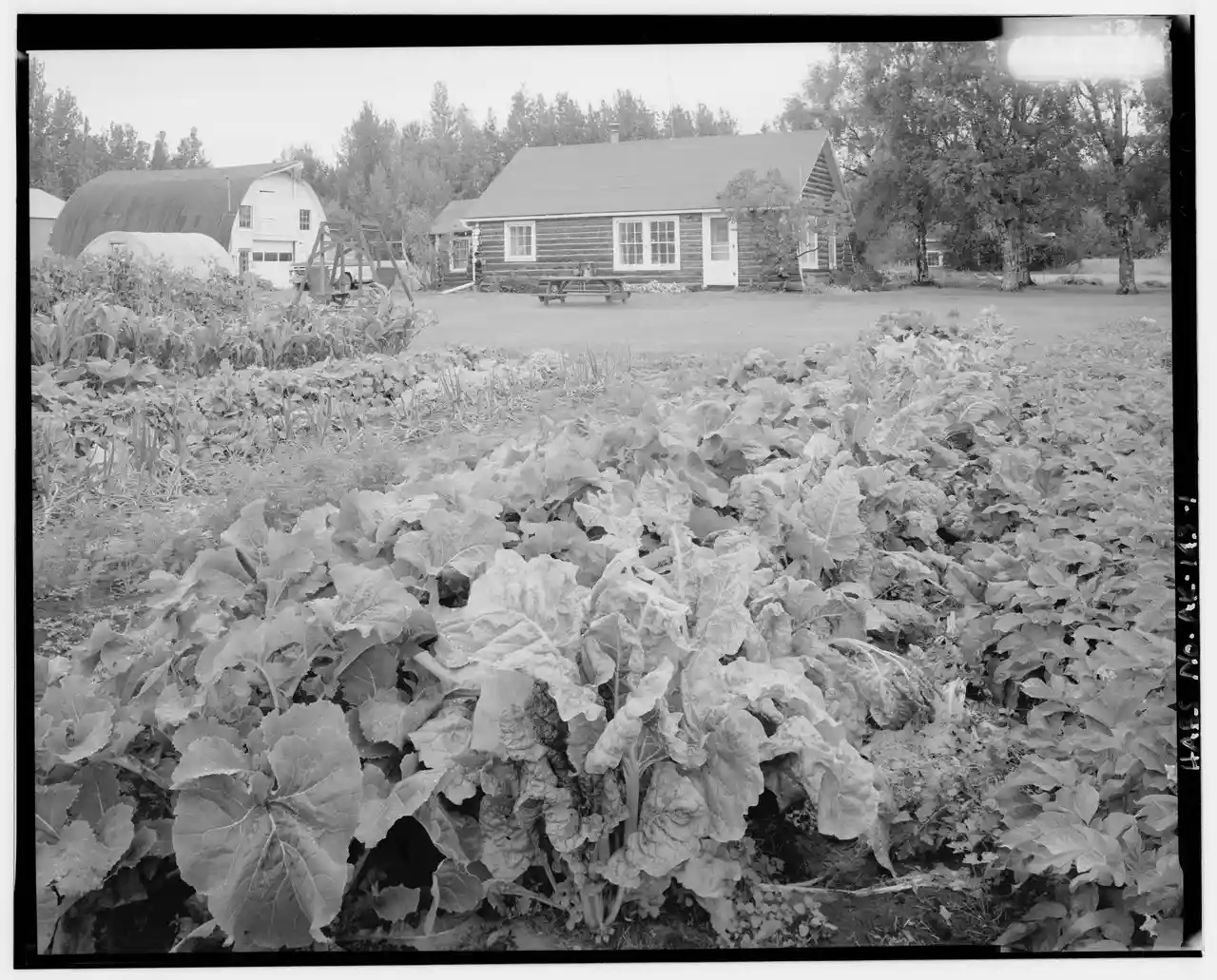 Puhl House