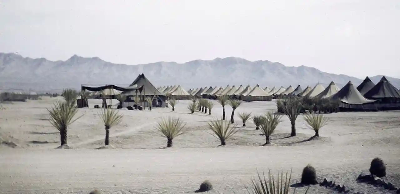 Camp Ibis