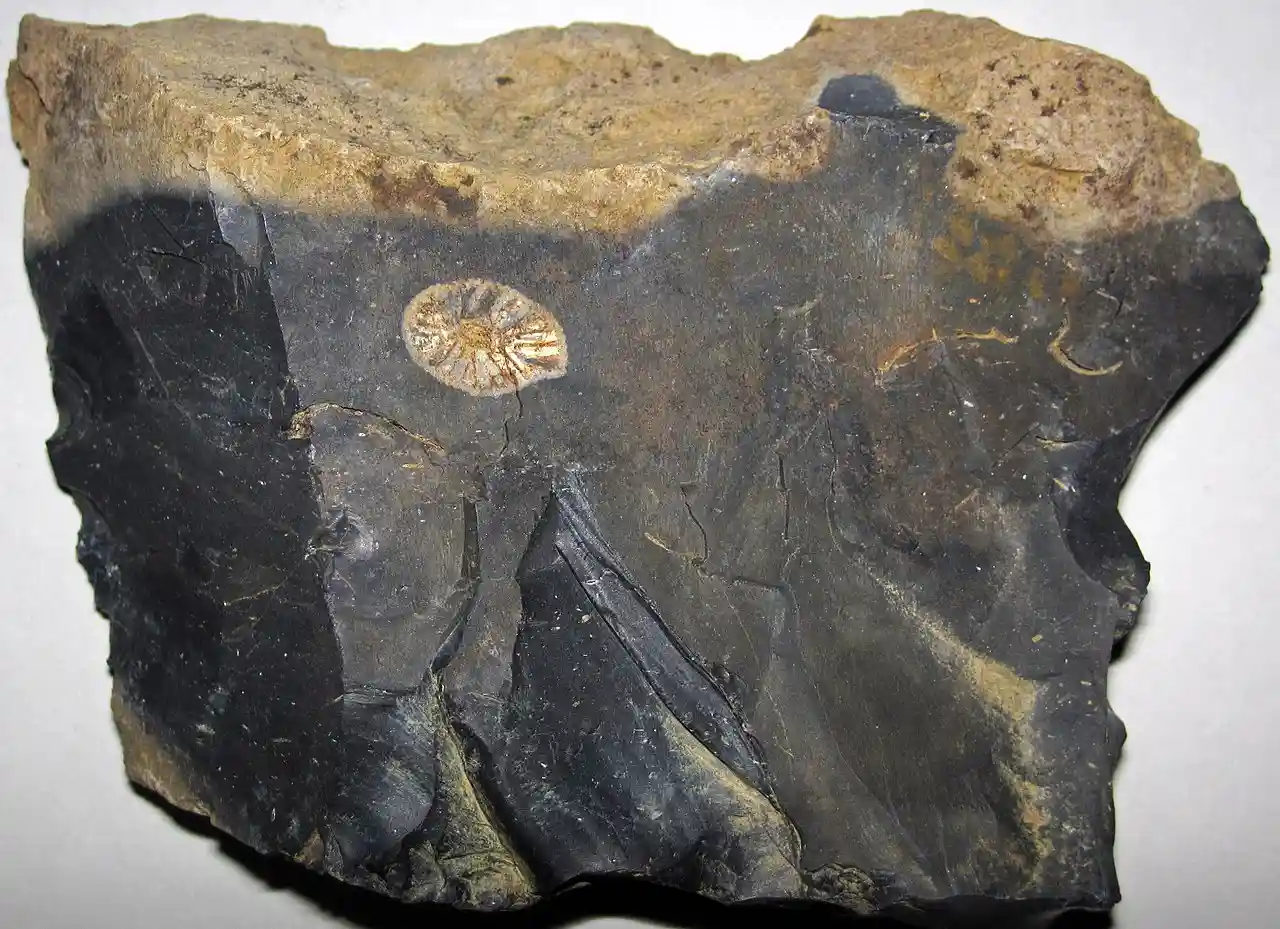 Welling site