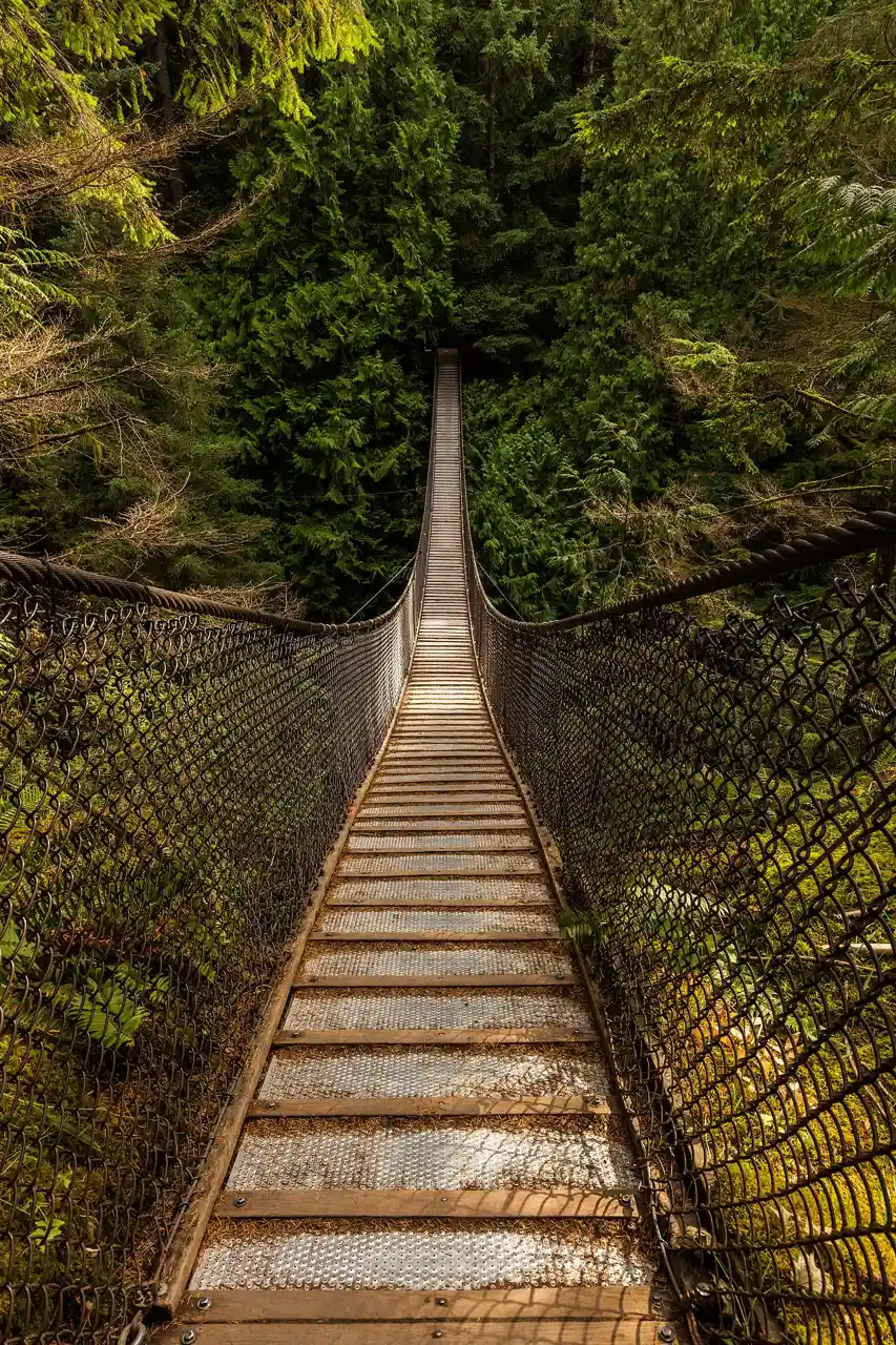 Lynn Canyon Suspension Bridge