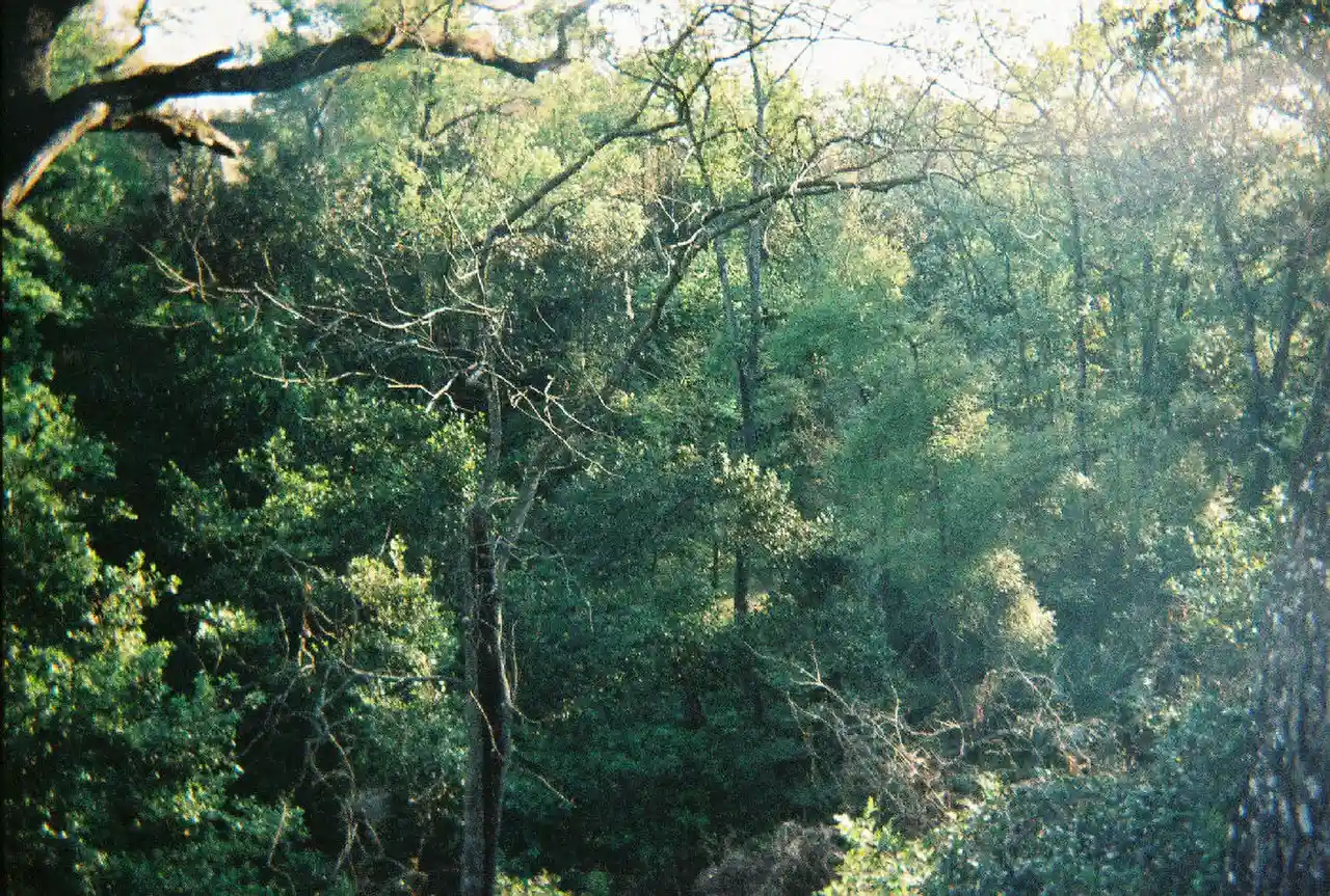 Palatka Ravine Gardens Historic District