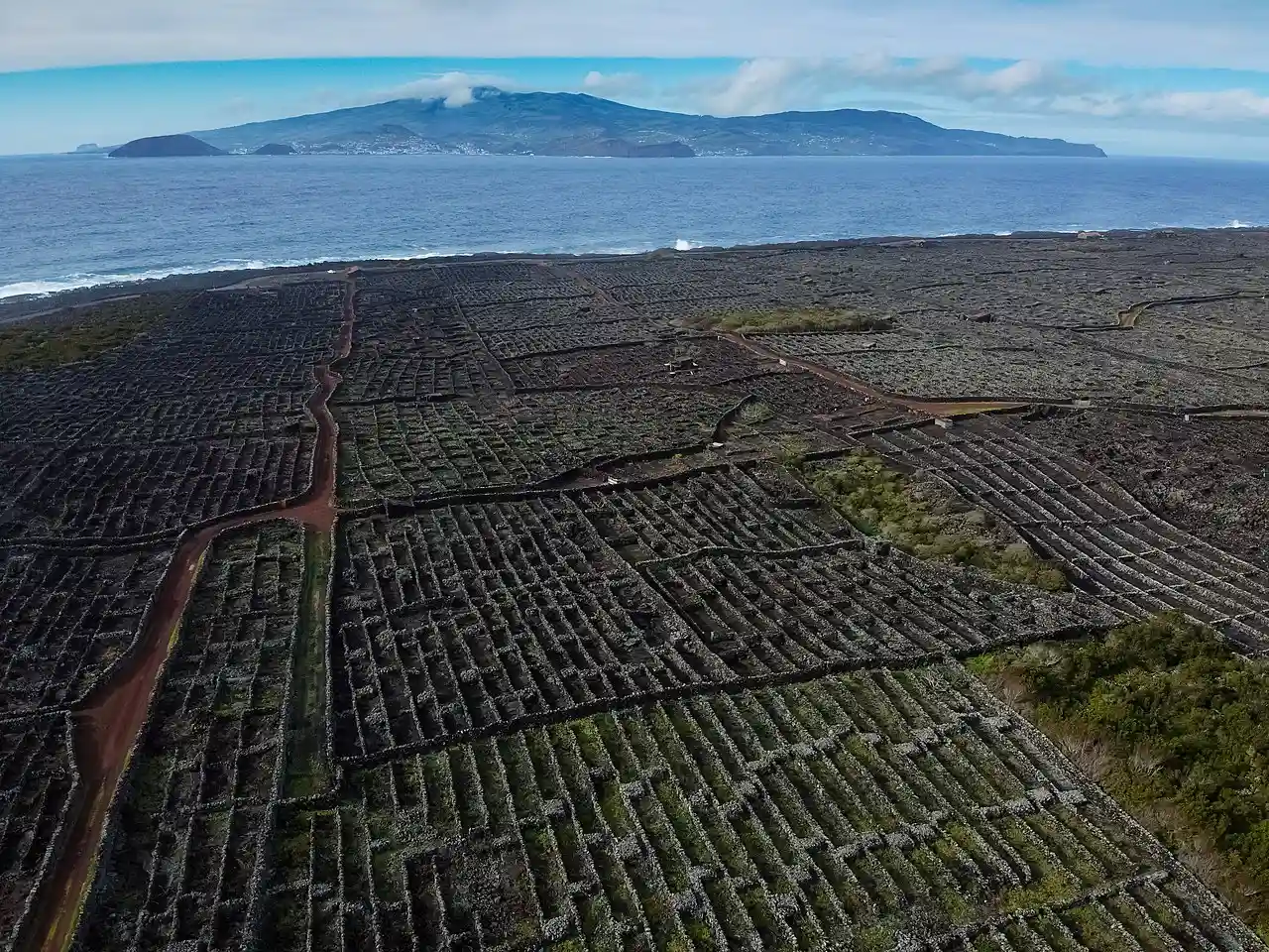Landscape of the Pico Island Vineyard Culture