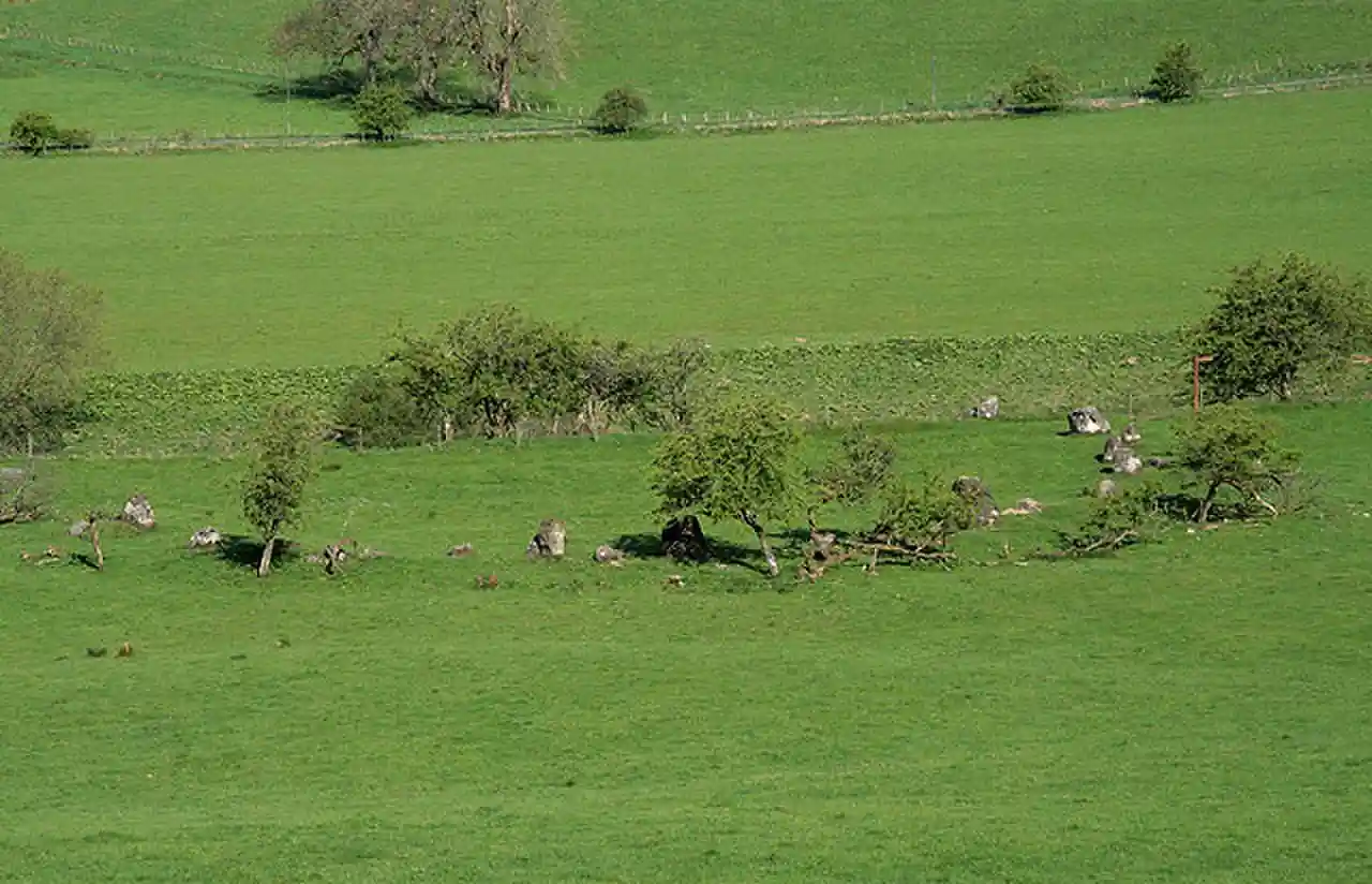 The Girdle Stanes