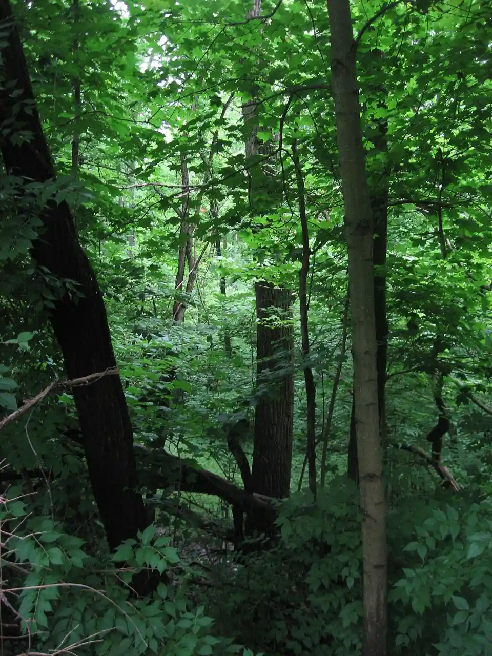 Union Township Works II