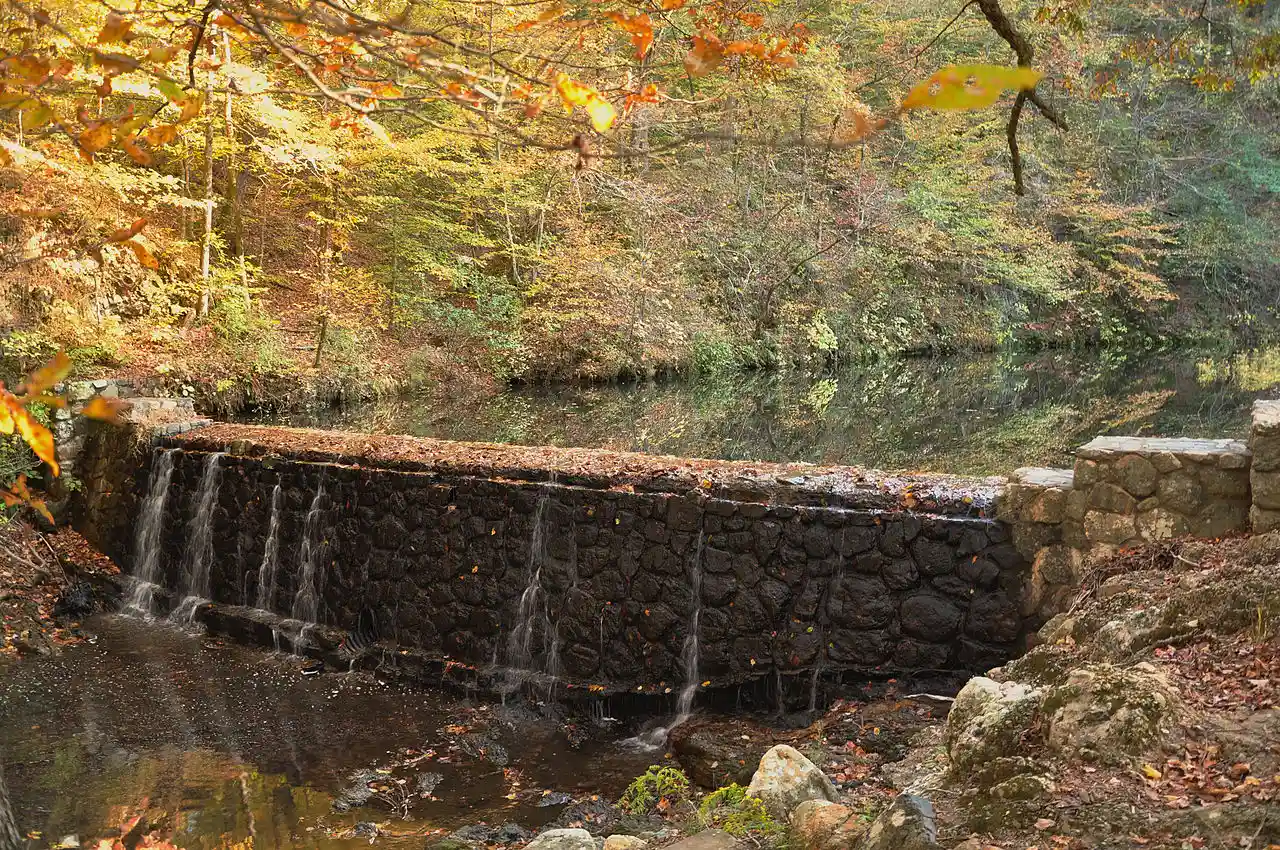 Bard Springs Dam No. 1