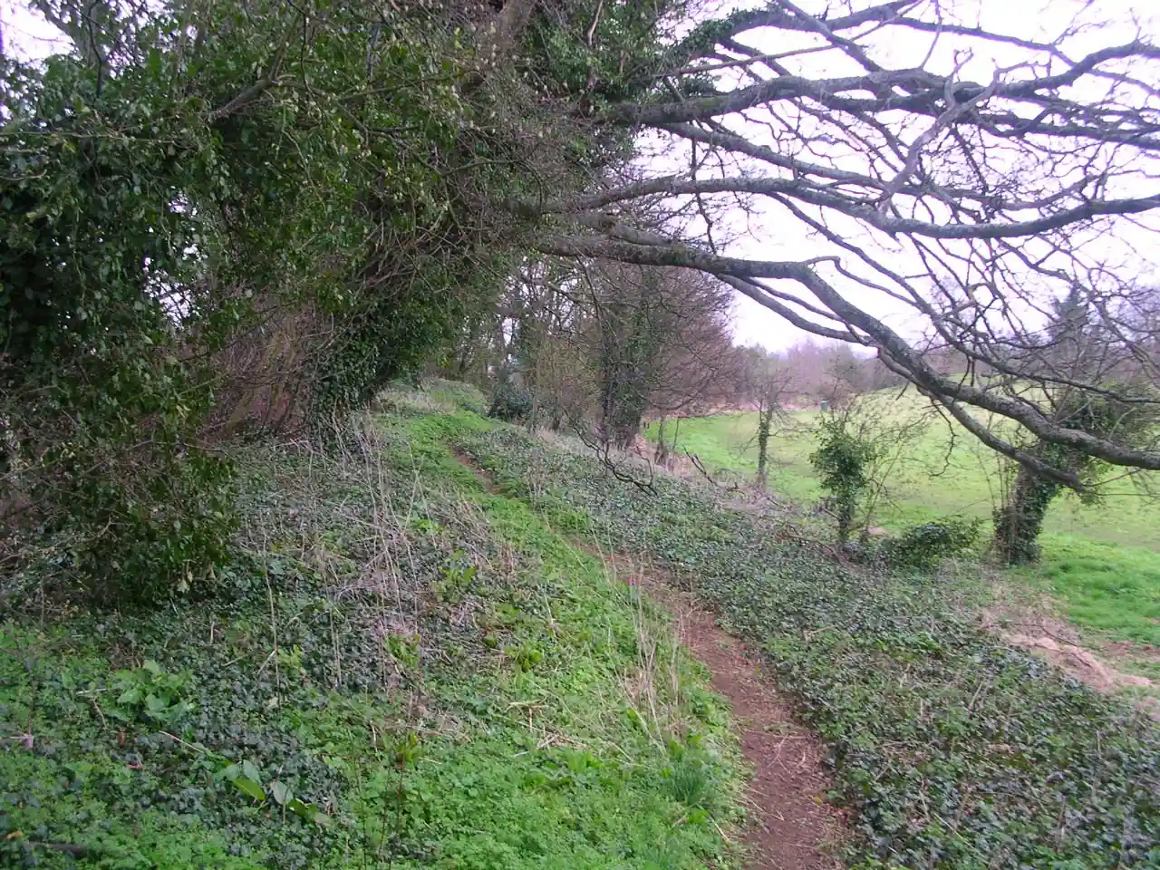 Deddington Castle