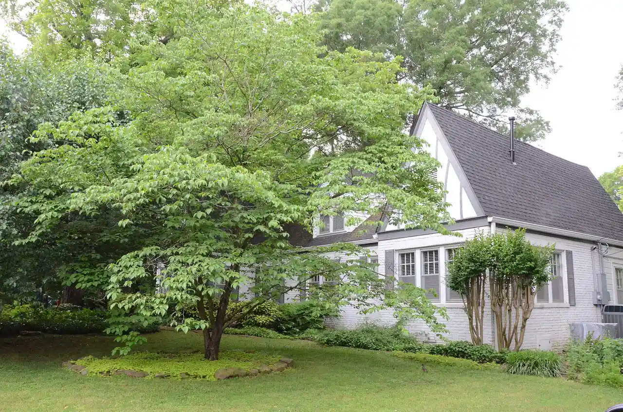 Hendrix College Addition Neighborhood Historic District