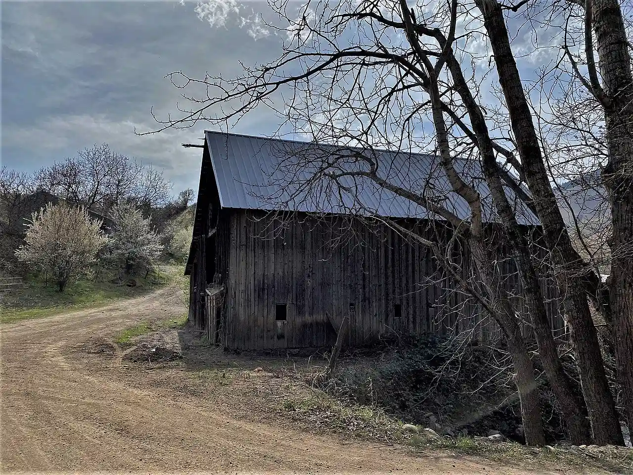 Jurden Henry Elfers Barn and Field