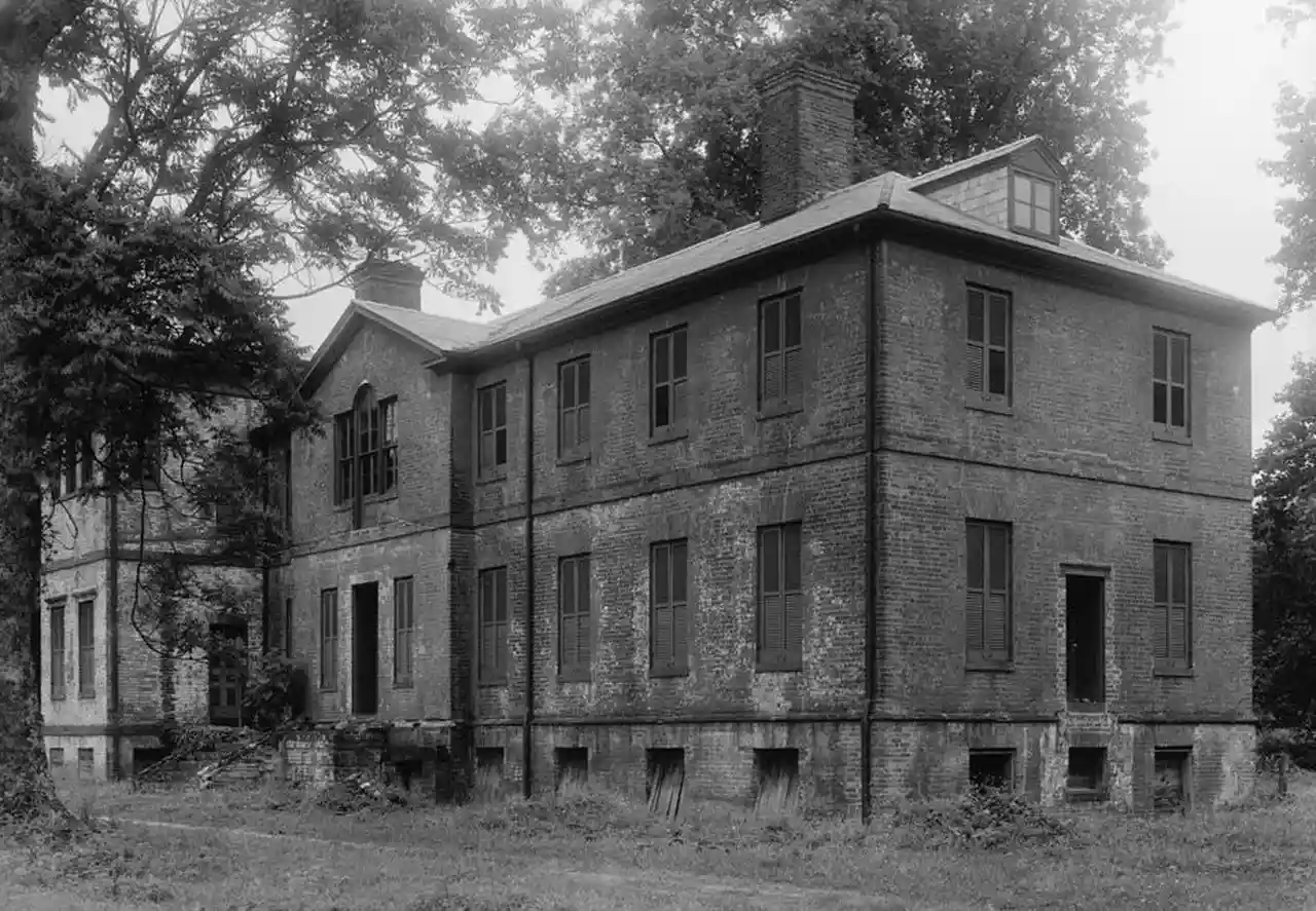 Elmwood