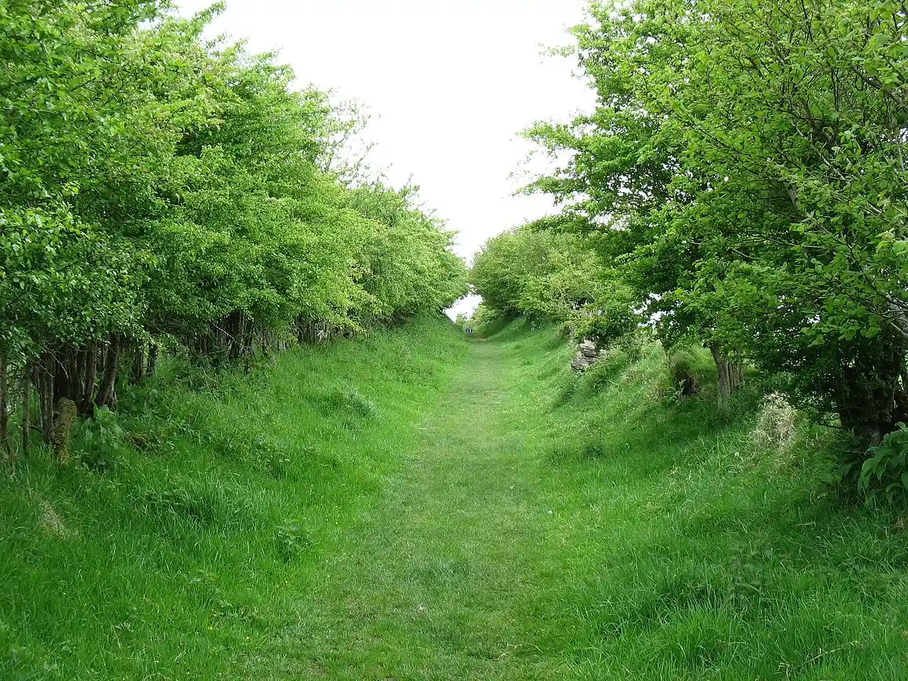 Milecastle 59