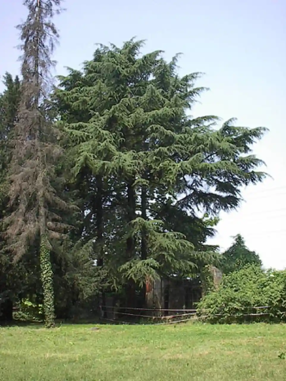 Villa Brivio