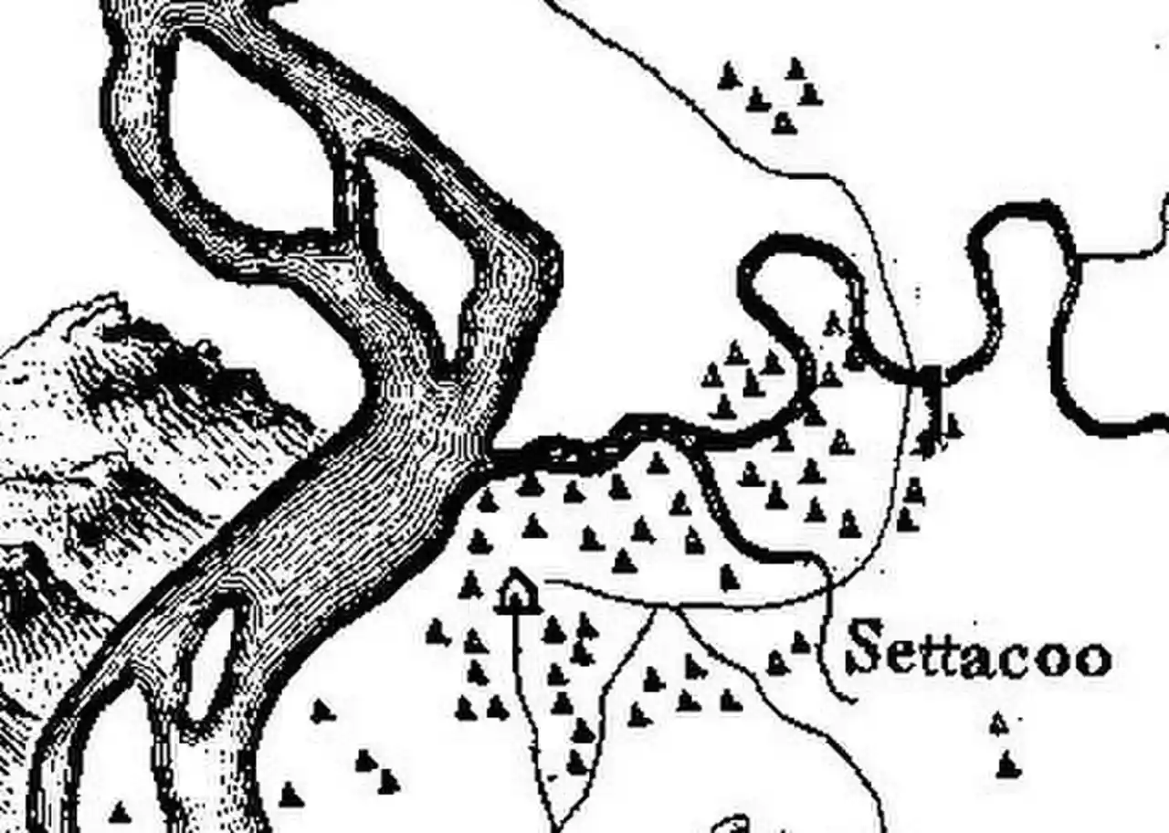 Citico