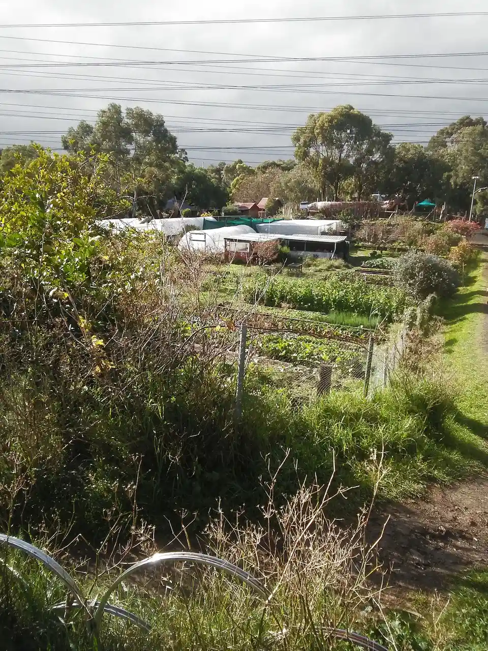 CERES Park