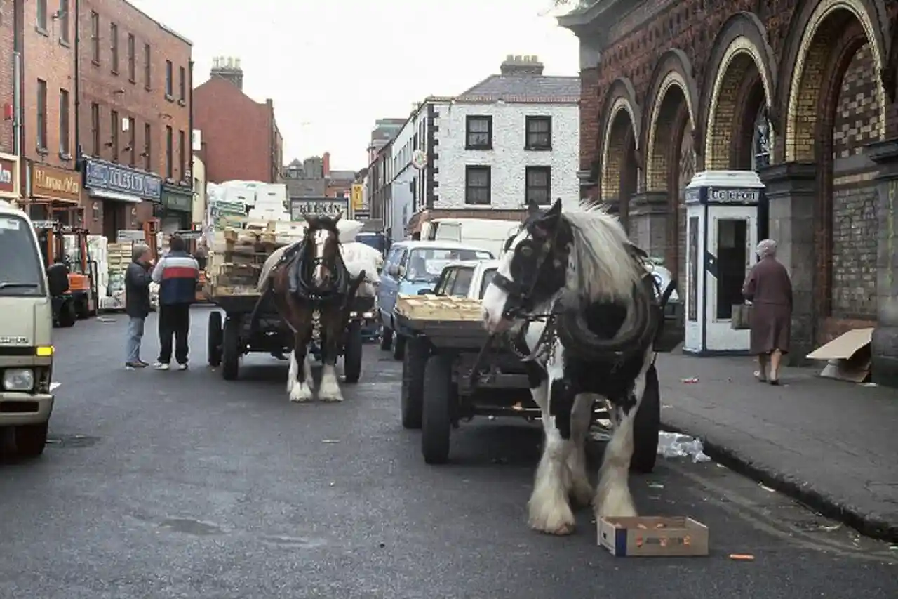 Dublin Corporation Wholesale Markets
