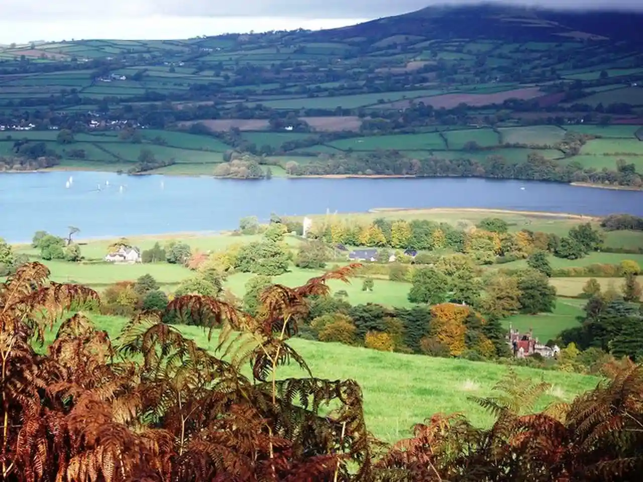Treberfydd House