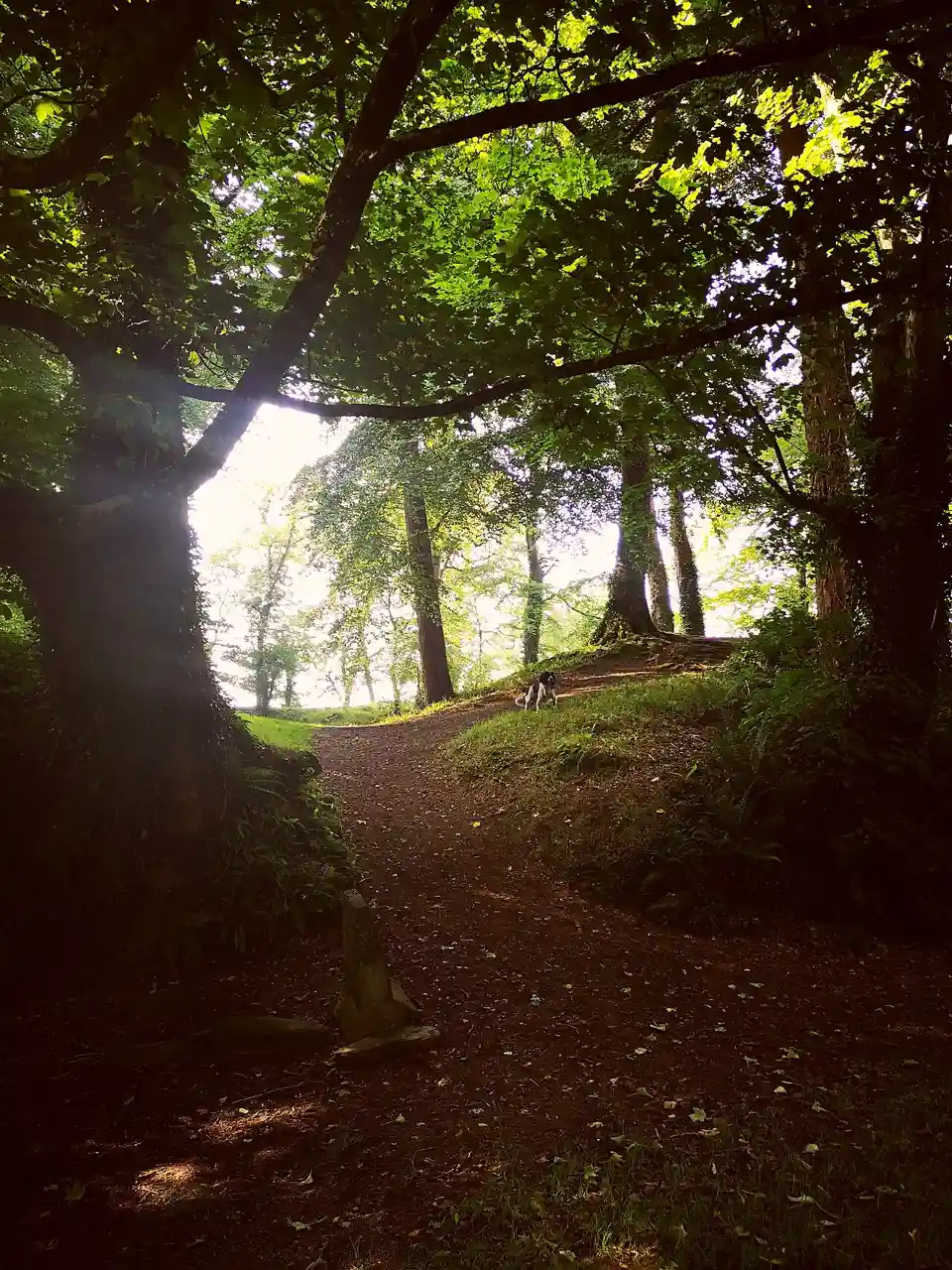 Brian Boru's Fort