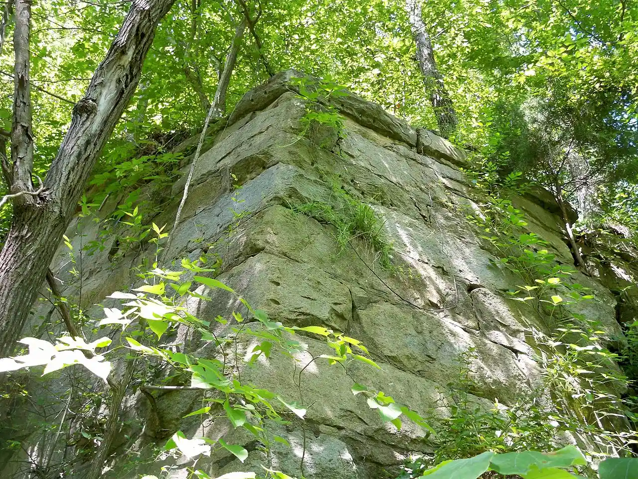 Railroad Bridge over Swift Creek