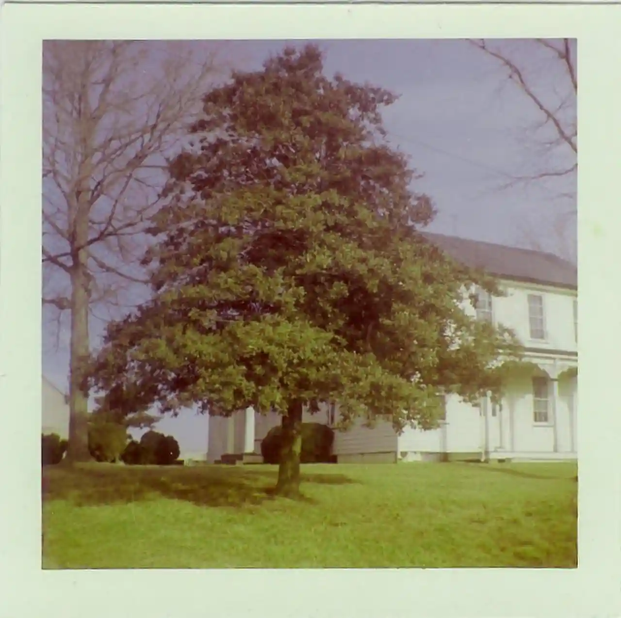 Butler Farm