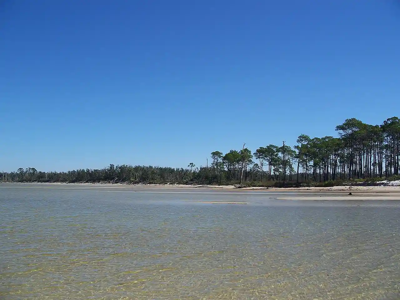 Naval Live Oaks Reservation