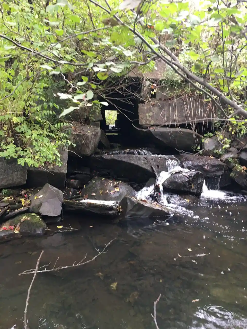 Center Road Culvert