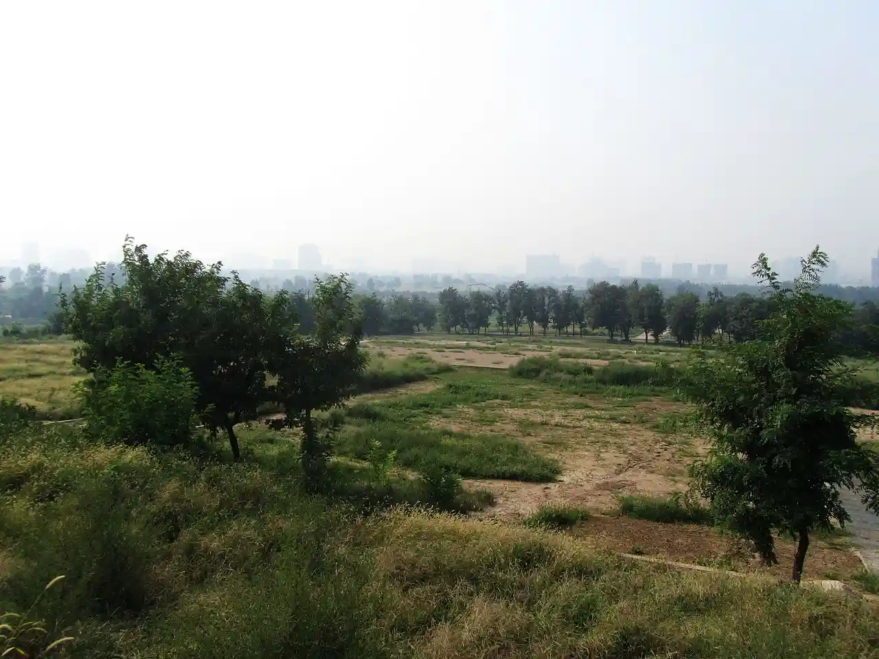 Weiyang Palace
