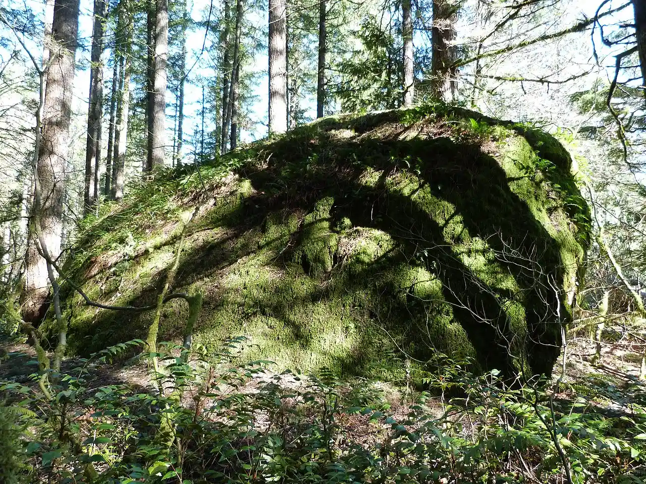 Rock Corral on the Barlow Road