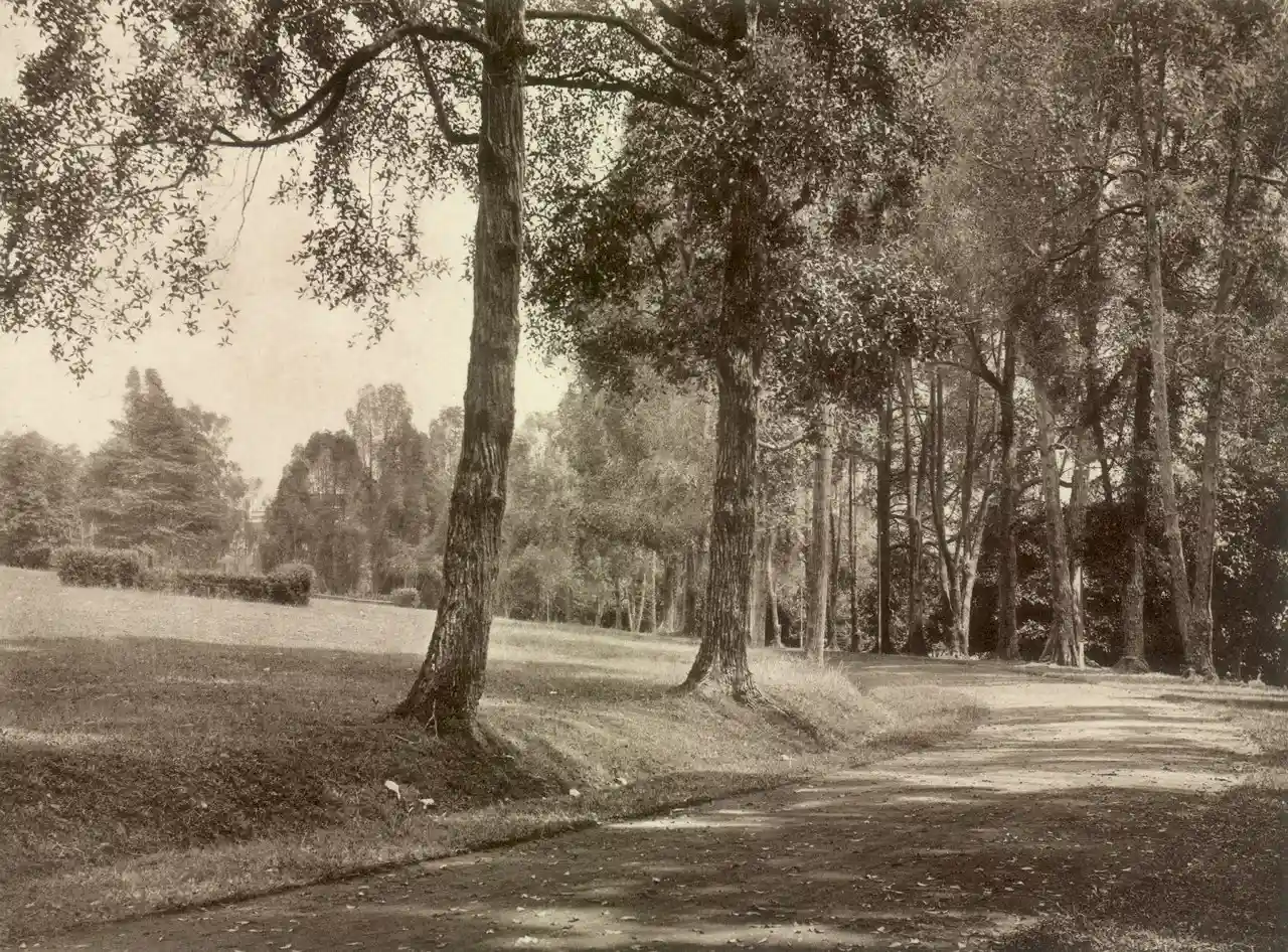Tyersall Park