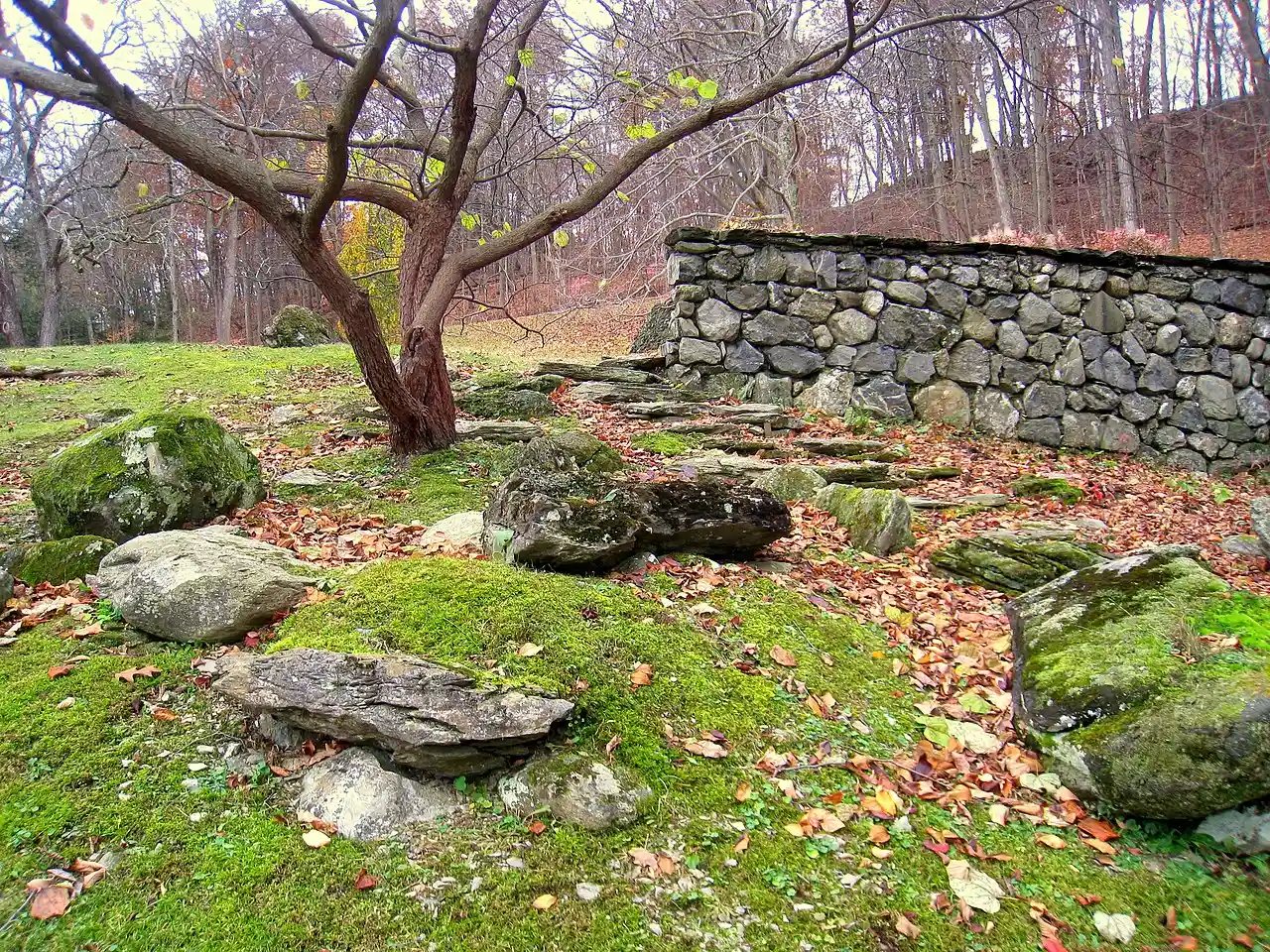 Innisfree Garden