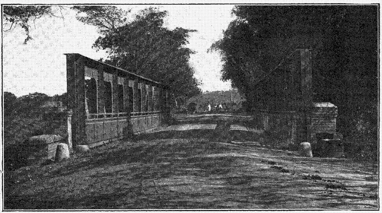 Silva Bridge