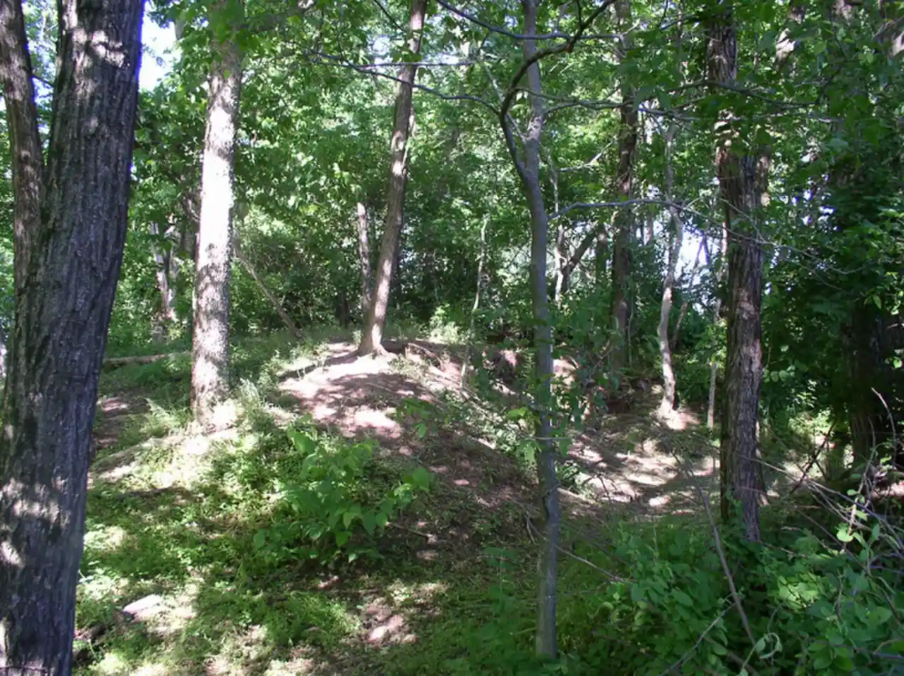 Rowlandton Mound Site 15MCN3