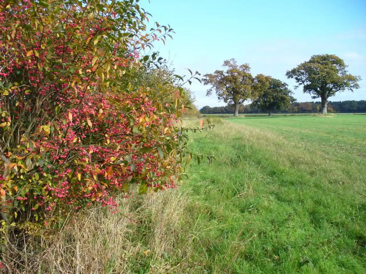 Blackwell Farm