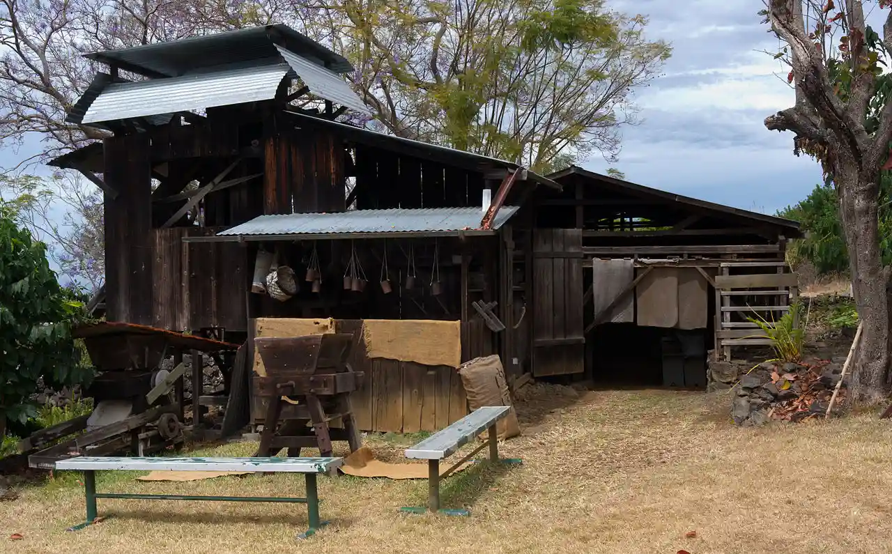 Uchida Coffee Farm