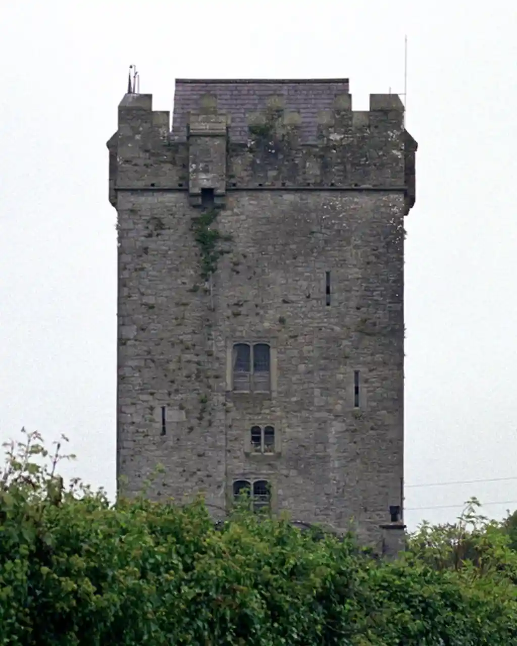 Ballyhannon Castle