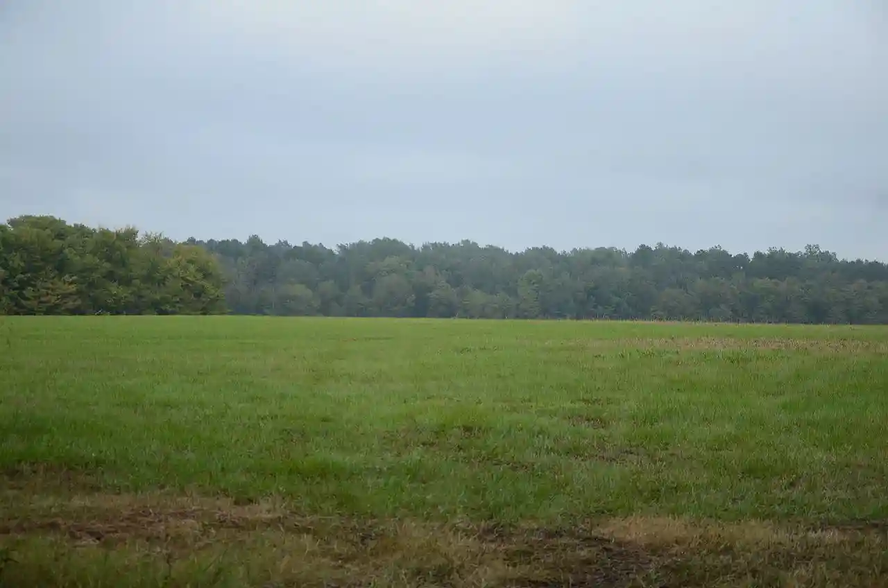 Prairie D'Ane Battlefield