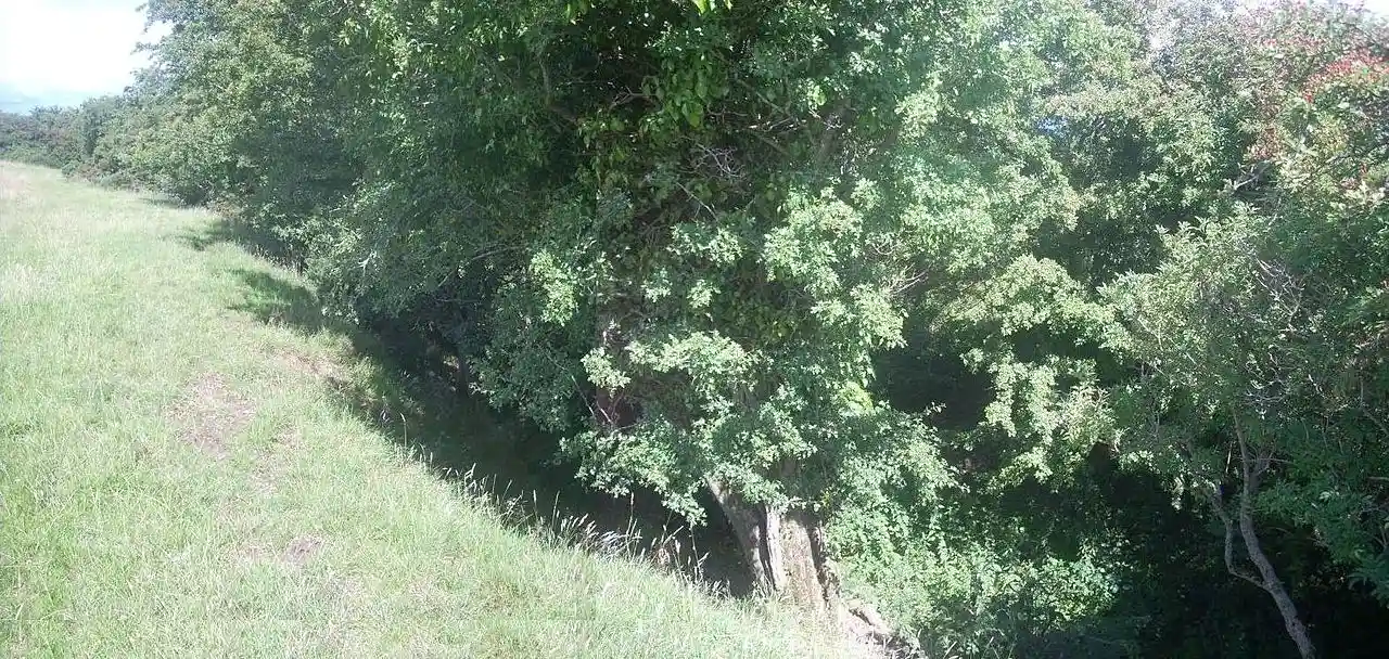 Dún Ailinne