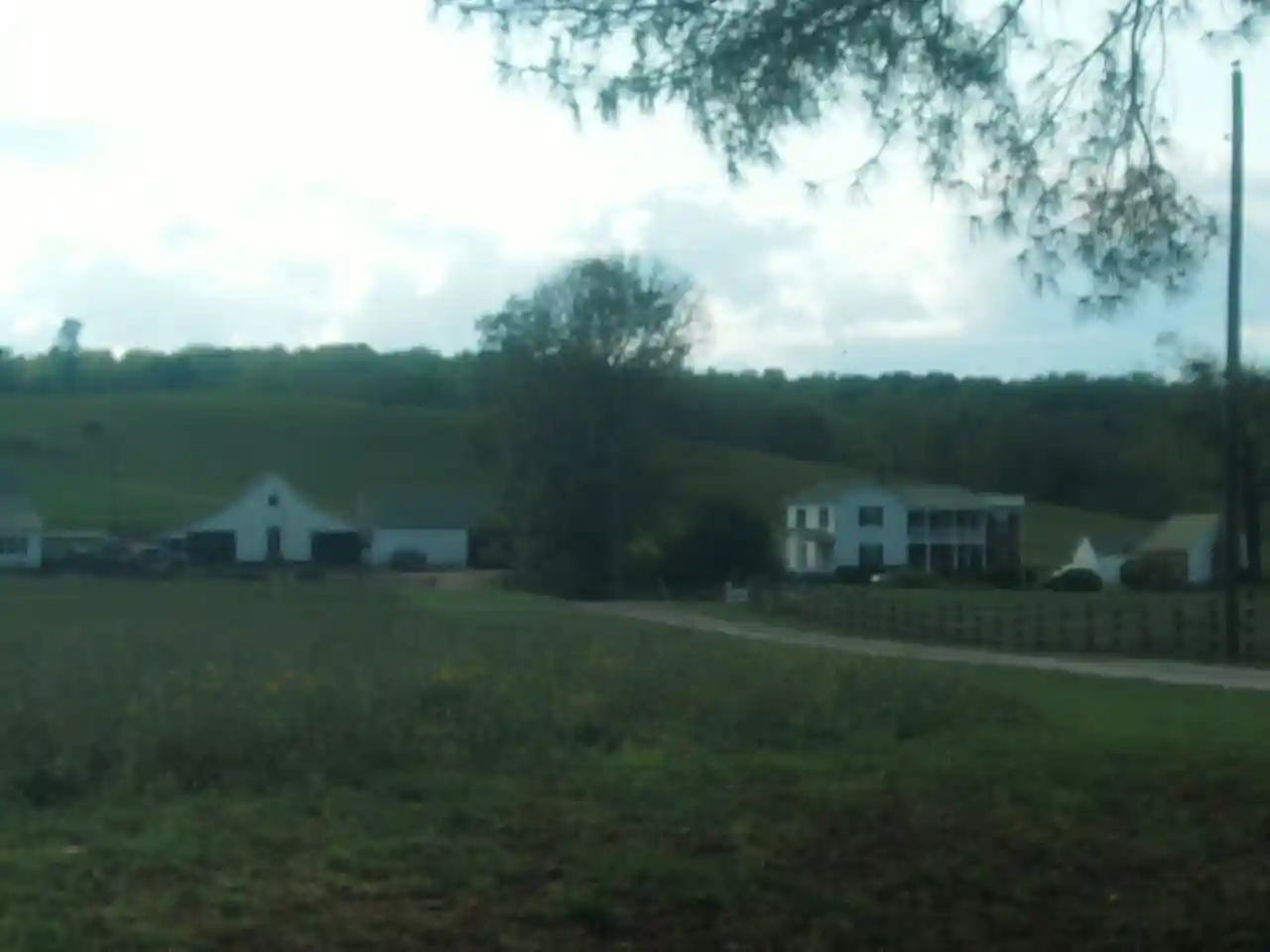 Meadow Grove Farm