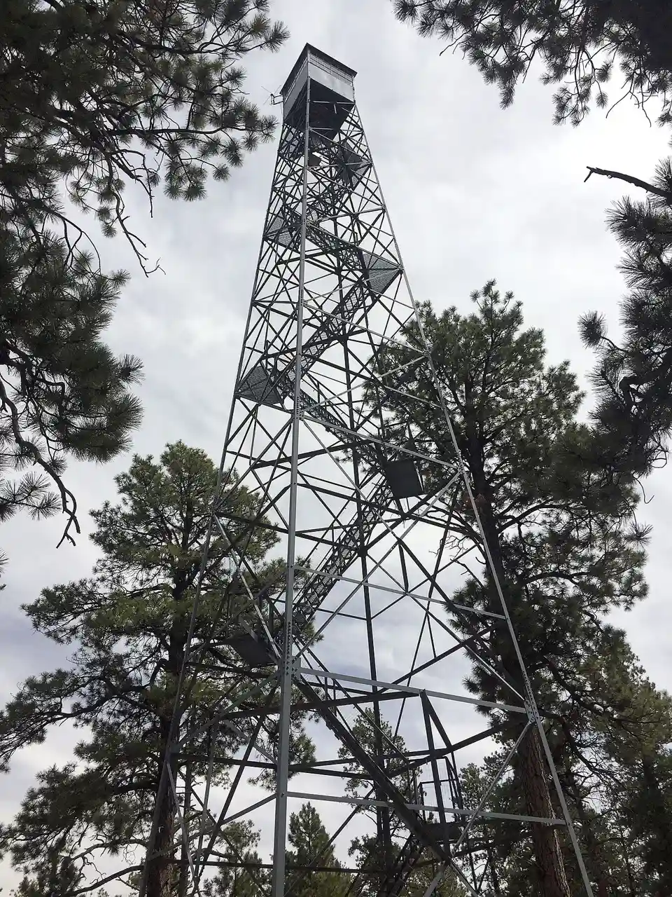 Jacob Lake Lookout Tower