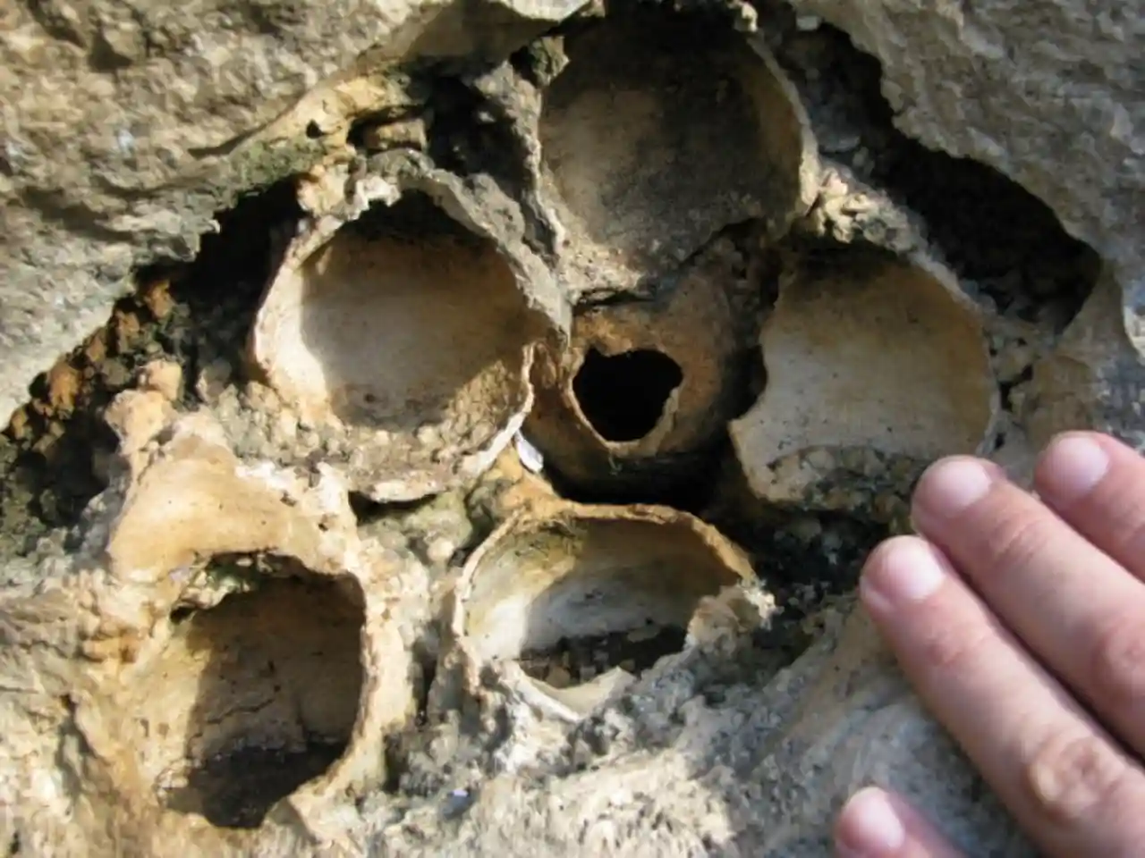 Geosite Travertino della Cava Cappuccini