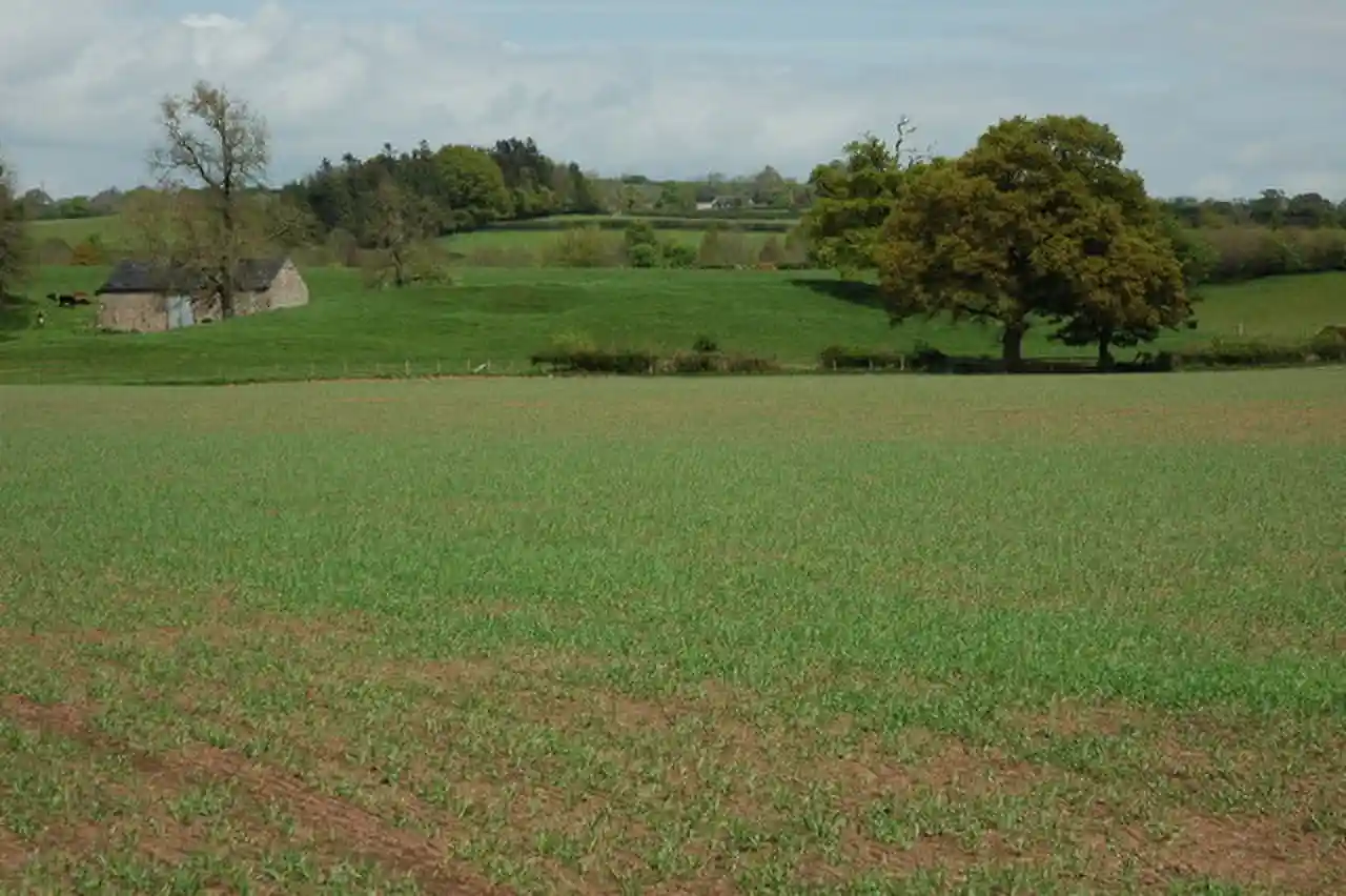 Castell Arnallt