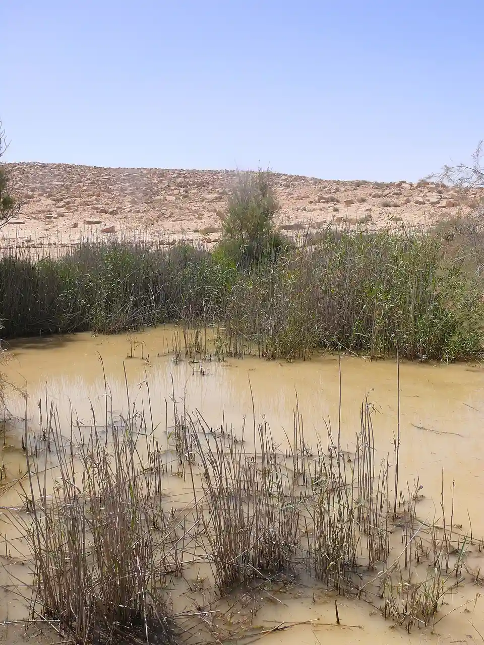 Lotz Cisterns