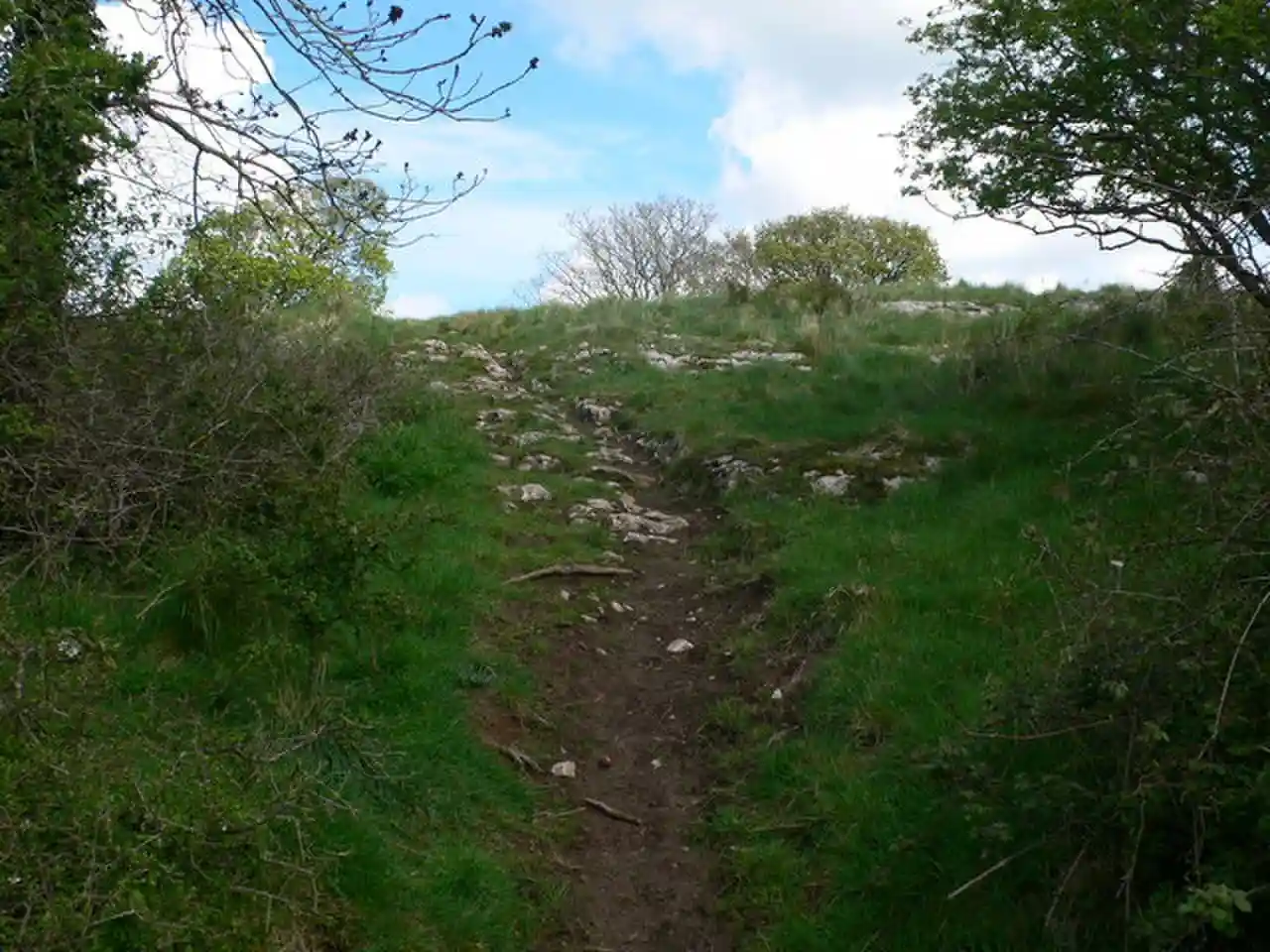 Bedd-y-Cawr Hillfort