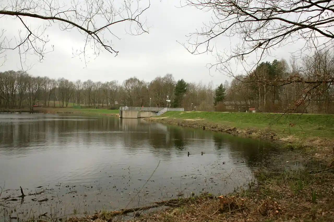 Lopausee