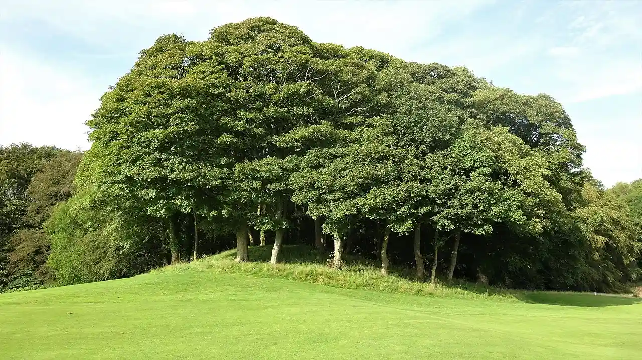 Castle Hill, Caprington