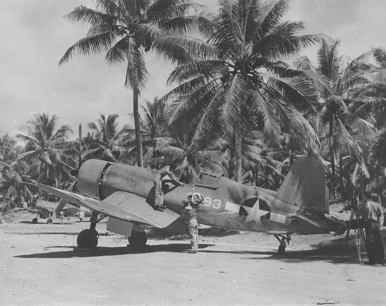 Turtle Bay Airfield