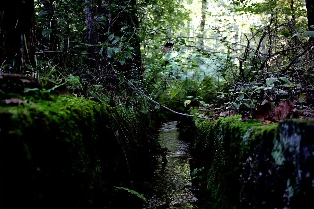 Cold Spring