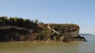 Calumet Bluff