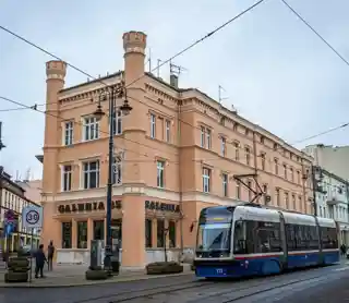 Alexander Timm House