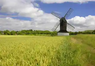 Pitstone Windmill