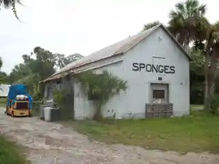 E. R. Meres Sponge Packing House